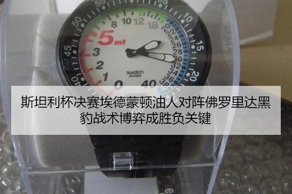 斯坦利杯决赛埃德蒙顿油人对阵佛罗里达黑豹战术博弈成胜负关键