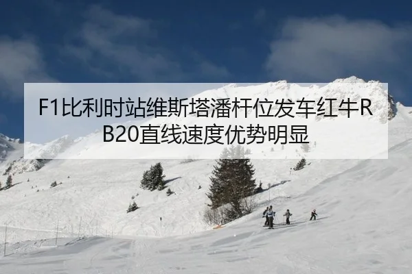 bi-li-shi-zhan-wei-si-ta-pan-gan-wei-fa-che-hong-niu-zhi-xian-su-du-you-shi-ming-xian-3-142.jpg