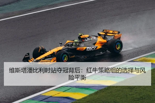 wei-si-ta-pan-bi-li-shi-zhan-duo-guan-bei-hou-hong-niu-ce-lve-zu-de-xuan-ze-yu-feng-xian-ping-heng-2-531.jpg